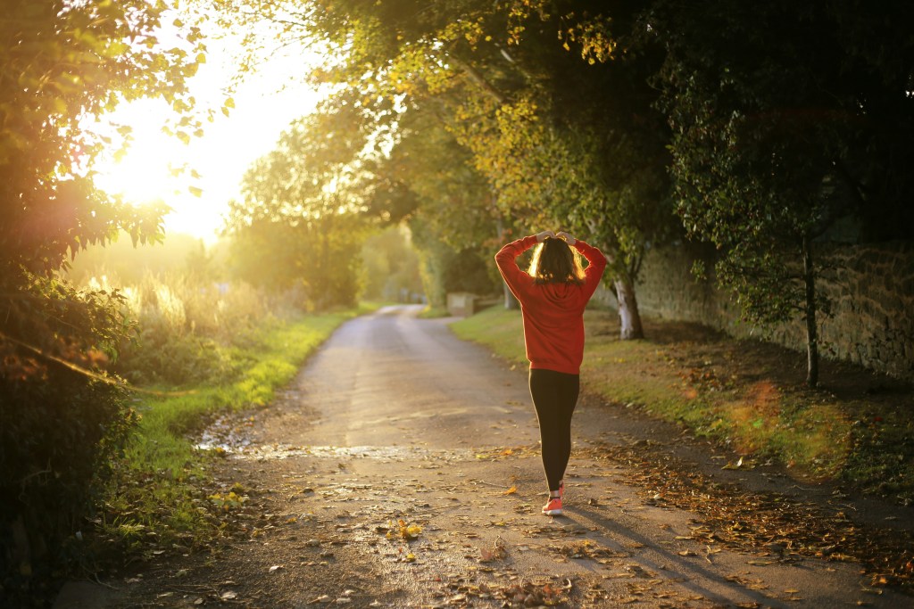mental health wellness